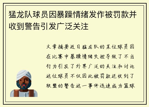 猛龙队球员因暴躁情绪发作被罚款并收到警告引发广泛关注